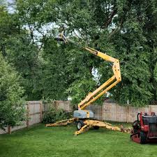 Best Tree Disease Treatment  in Hartwell, GA